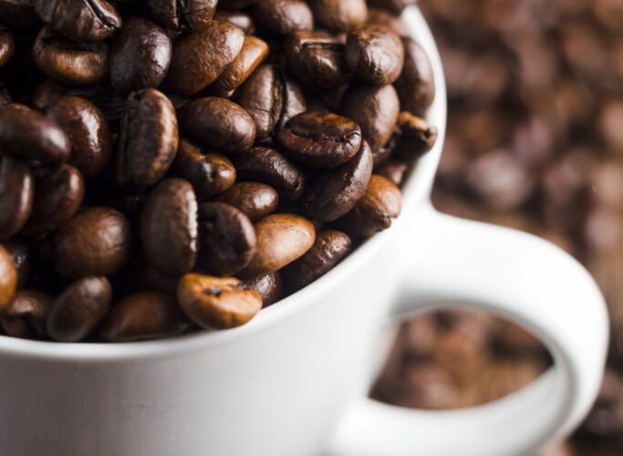 Conab apresenta plataforma inovadora para garantir café brasileiro sustentável