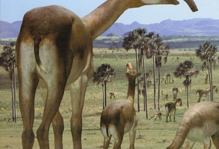 A Era do Gelo dá lugar ao gado: novas revelações científicas sobre o Pampa brasileiro